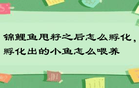 锦鲤鱼甩籽之后怎么孵化，孵化出的小鱼怎么喂养