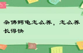 杂佛鳄龟怎么养，怎么养长得快