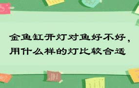 金鱼缸开灯对鱼好不好，用什么样的灯比较合适