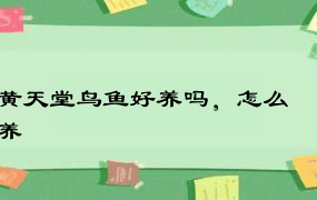 黄天堂鸟鱼好养吗，怎么养