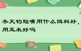 冬天钓翘嘴用什么饵料好，用玉米好吗