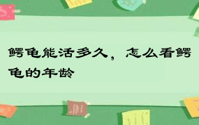 鳄龟能活多久，怎么看鳄龟的年龄