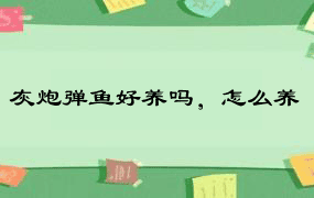 灰炮弹鱼好养吗，怎么养