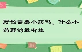 野钓需要小药吗，什么小药野钓最有效