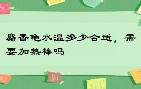 麝香龟水温多少合适，需要加热棒吗