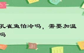 孔雀鱼怕冷吗，需要加温吗