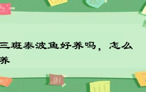 三斑泰波鱼好养吗，怎么养