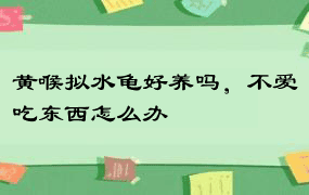 黄喉拟水龟好养吗，不爱吃东西怎么办