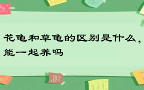 花龟和草龟的区别是什么，能一起养吗