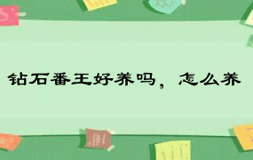 钻石番王好养吗，怎么养