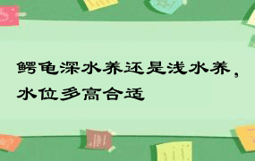 鳄龟深水养还是浅水养，水位多高合适