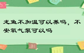 龙鱼不加温可以养吗，不安氧气泵可以吗