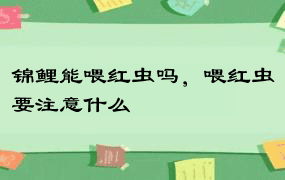 锦鲤能喂红虫吗，喂红虫要注意什么