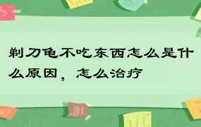 剃刀龟不吃东西怎么是什么原因，怎么治疗