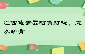 巴西龟需要晒背灯吗，怎么晒背