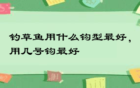 钓草鱼用什么钩型最好，用几号钩最好