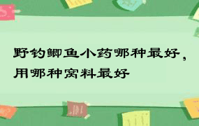 野钓鲫鱼小药哪种最好，用哪种窝料最好