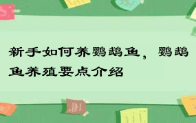 新手如何养鹦鹉鱼，鹦鹉鱼养殖要点介绍