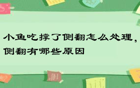 小鱼吃撑了侧翻怎么处理，侧翻有哪些原因