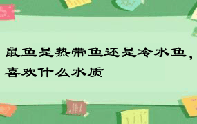 鼠鱼是热带鱼还是冷水鱼，喜欢什么水质