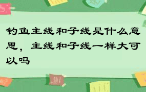 钓鱼主线和子线是什么意思，主线和子线一样大可以吗