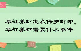 草缸养虾怎么保护虾卵，草缸养虾需要什么条件