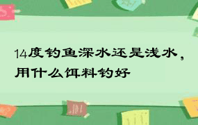 14度钓鱼深水还是浅水，用什么饵料钓好