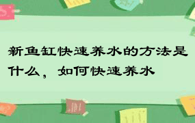 新鱼缸快速养水的方法是什么，如何快速养水