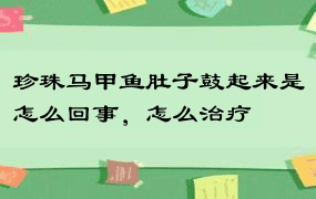 珍珠马甲鱼肚子鼓起来是怎么回事，怎么治疗