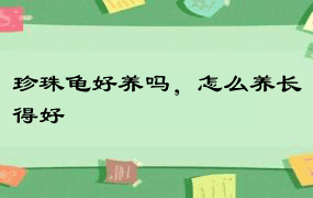 珍珠龟好养吗，怎么养长得好