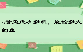 6号鱼线有多粗，能钓多大的鱼