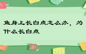 鱼身上长白点怎么办，为什么长白点