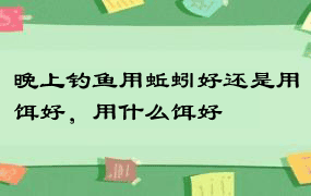 晚上钓鱼用蚯蚓好还是用饵好，用什么饵好