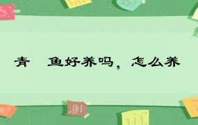 青鳉鱼好养吗，怎么养