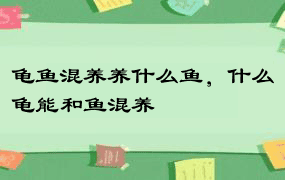 龟鱼混养养什么鱼，什么龟能和鱼混养