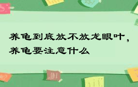 养龟到底放不放龙眼叶，养龟要注意什么