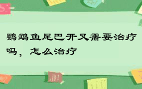 鹦鹉鱼尾巴开叉需要治疗吗，怎么治疗