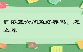 萨依蓝六间鱼好养吗，怎么养