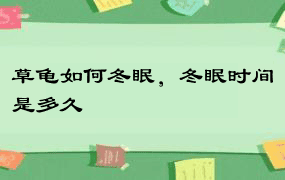 草龟如何冬眠，冬眠时间是多久