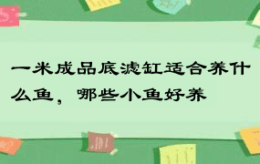 一米成品底滤缸适合养什么鱼，哪些小鱼好养