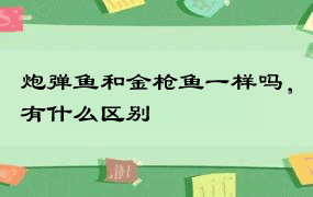 炮弹鱼和金枪鱼一样吗，有什么区别