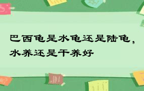 巴西龟是水龟还是陆龟，水养还是干养好