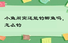 小鱼闹窝还能钓鲫鱼吗，怎么钓