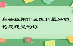 乌头鱼用什么饵料最好钓，钓底还是钓浮