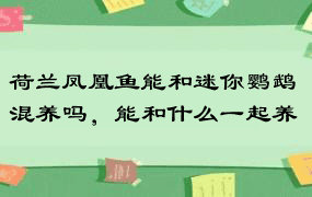 荷兰凤凰鱼能和迷你鹦鹉混养吗，能和什么一起养