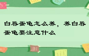 白唇蛋龟怎么养，养白唇蛋龟要注意什么