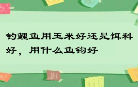 钓鲤鱼用玉米好还是饵料好，用什么鱼钩好