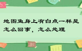 地图鱼身上有白点一样是怎么回事，怎么处理