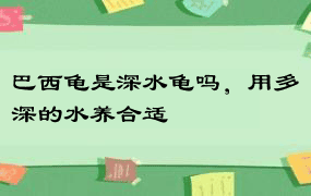 巴西龟是深水龟吗，用多深的水养合适