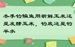 冬季钓鳊鱼用新鲜玉米还是发酵玉米，钓底还是钓半水